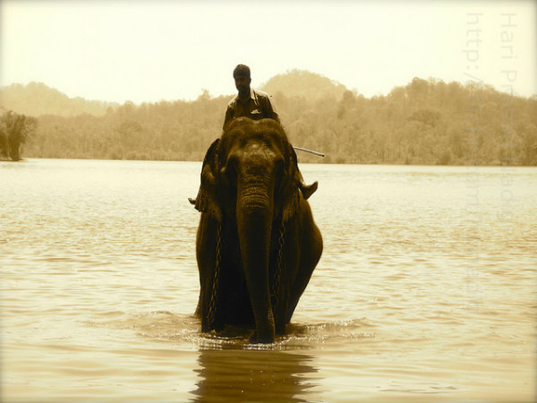 ಶಿವಮೊಗ್ಗ ಆಕರ್ಷಣೆಗಳು: