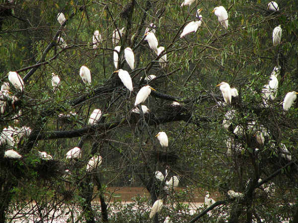 ಶಿವಮೊಗ್ಗ ಆಕರ್ಷಣೆಗಳು: