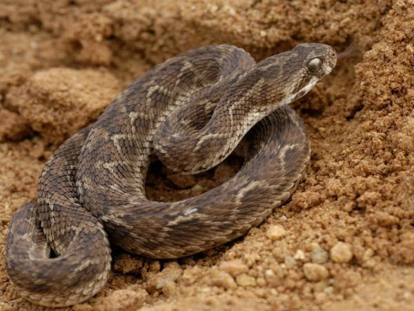 ಬೆಳಗಾವಿ ಗೋವಾ ಬೆಳಗಾವಿ: ಬೆಳಗಾವಿ ಗೋವಾ ಬೆಳಗಾವಿ:
