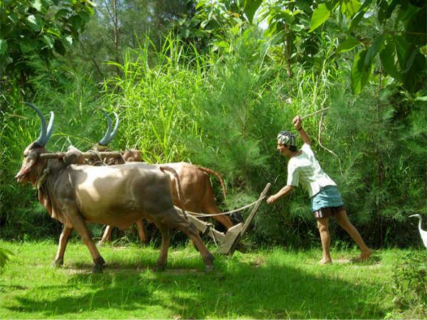 ಬೆಂಗಳೂರಿನಿಂದ ಶಿರಡಿಗೆ: