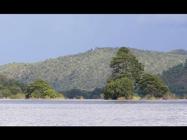 ಕರ್ನಾಟಕದ ಅಭಯಾರಣ್ಯಗಳು: