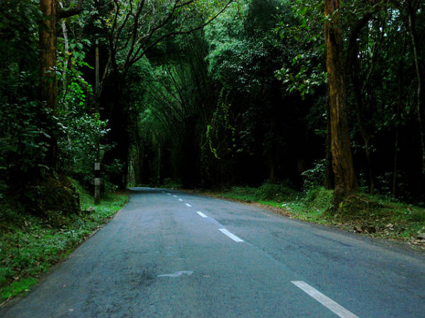 ರಸ್ತೆ ಪ್ರವಾಸಗಳು: