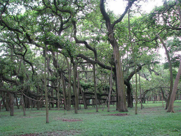 ಕೊಲ್ಕತ್ತಾದಲ್ಲೊಂದು ದಿನ: