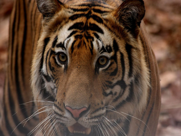 ಭೆಟಿ ನೀಡಬೇಕಾದ ಪ್ರಮುಖ 15 ಸ್ಥಳಗಳು