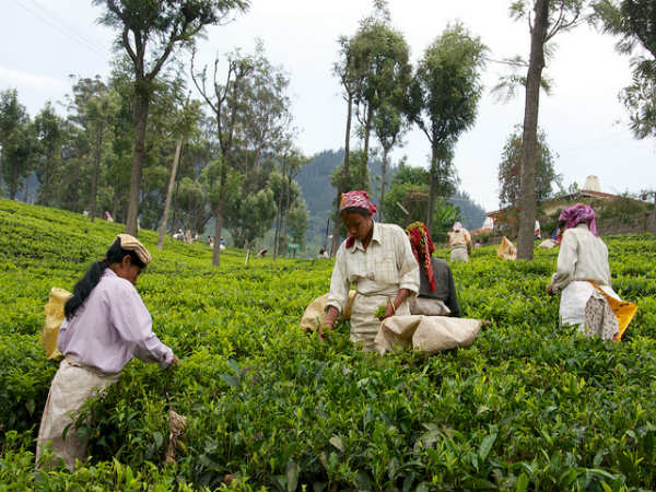 ಚುಂಬಕ ಗಿರಿಧಾಮ ಕುಣ್ಣೂರು: 