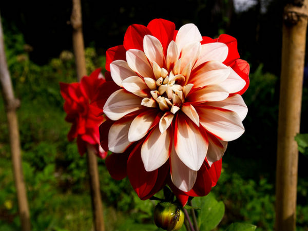 ಚುಂಬಕ ಗಿರಿಧಾಮ ಕುಣ್ಣೂರು: 