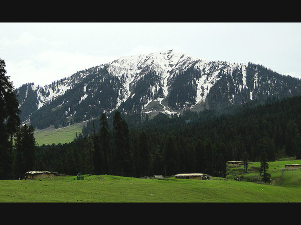 ಹಿಮಾಲಯ ಶ್ರೇಣಿಗಳು: