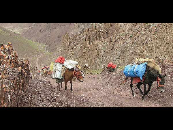 ಹಿಮಾಲಯ ಶ್ರೇಣಿಗಳು: