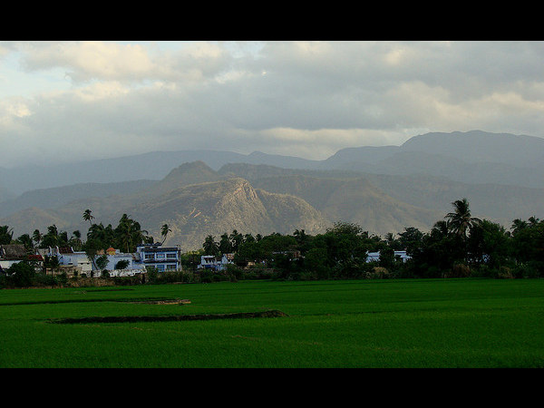 ಪಶ್ಚಿಮ ಘಟ್ಟಗಳ ಮಾಯಾ ಲೋಕ: