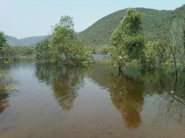 ಪೂರ್ವ ಘಟ್ಟಗಳ ಆಕರ್ಷಣೆಗಳು: