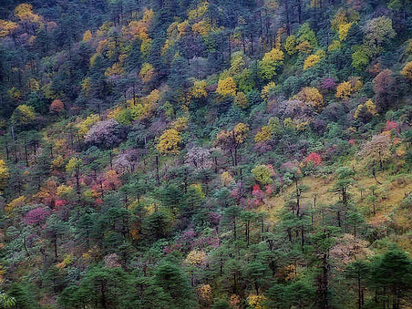 ಪ್ರವಾಸಿಗರನ್ನು ಕಾಯುತ್ತಿರುವ ಅದ್ಭುತ ಸ್ಥಳಗಳು