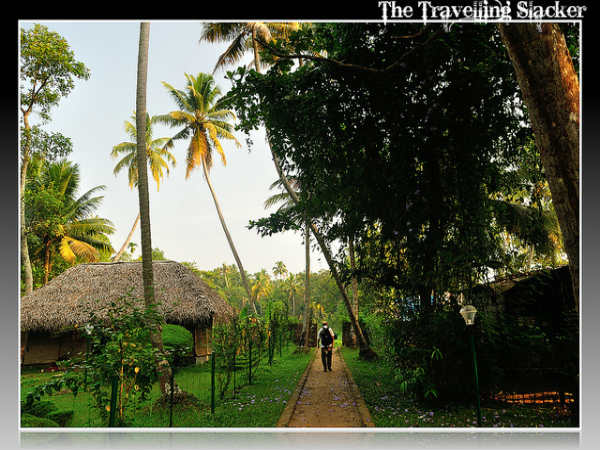 ಭಲೆ ಭಲೆ ಅಲೆಪ್ಪಿ: