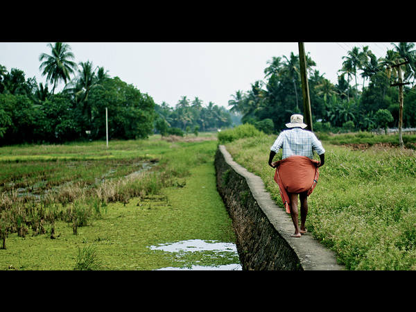 ಭಲೆ ಭಲೆ ಅಲೆಪ್ಪಿ: