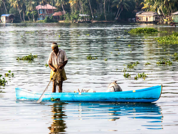 ಭಲೆ ಭಲೆ ಅಲೆಪ್ಪಿ: