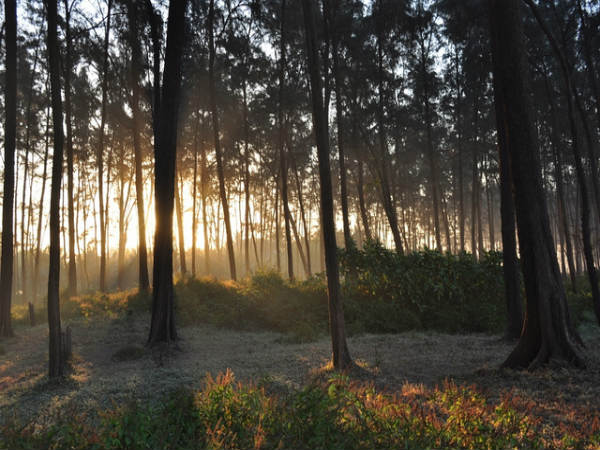 ವಿಶಿಷ್ಟ ಕಡಲ ತೀರದ ಅಲಿಬಾಗ್: