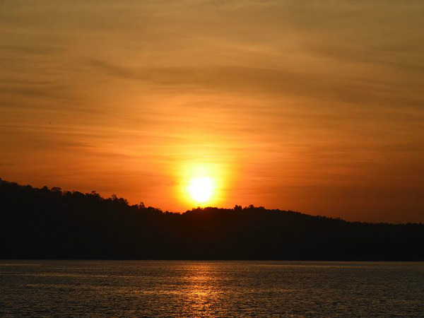 ಹೊನ್ನಿನಂತಹ ಹೊನ್ನೆಮರುಡು: