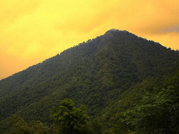 ಮೈಸೂರಿನ ಹಾಗೂ ಸುತ್ತಲಿನ ಆಕರ್ಷಣೆಗಳು: