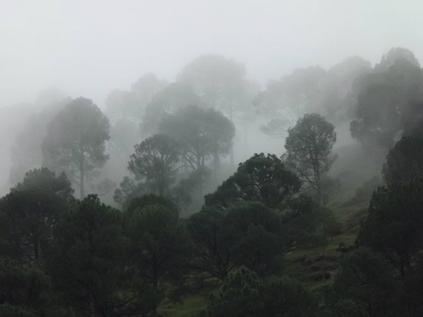 ಹೇಮಕುಂಡ: