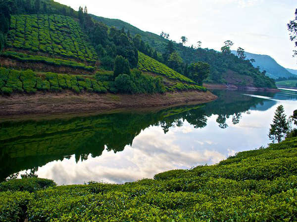 ಮನ ತಣಿಸುವ ತೇಣಿ: