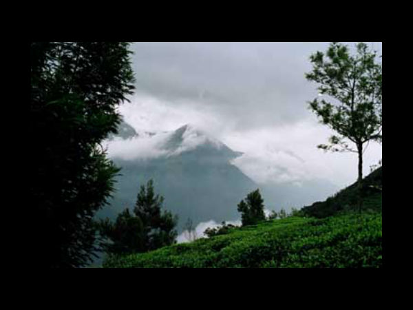 ಮನ ತಣಿಸುವ ತೇಣಿ: ಮನ ತಣಿಸುವ ತೇಣಿ: