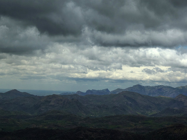 ಮನ ತಣಿಸುವ ತೇಣಿ: