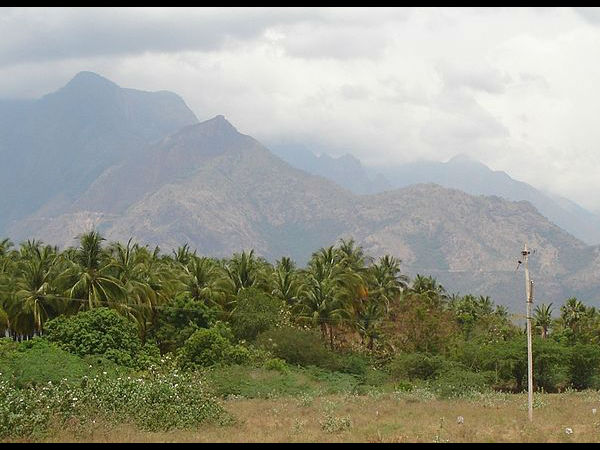 ಮನ ತಣಿಸುವ ತೇಣಿ: