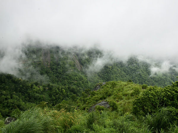 ವಗಮೋನ್ ಸೊಬಗು: