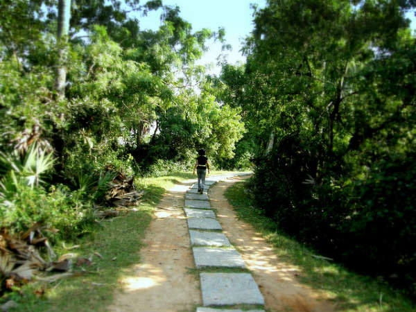 ವೇಡಂತಾಂಗಳ್: