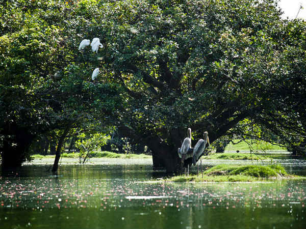 ವೇಡಂತಾಂಗಳ್: