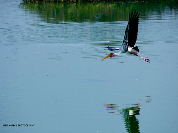 ವೇಡಂತಾಂಗಳ್: