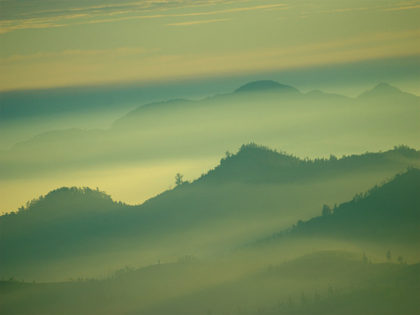 ದೊಡ್ಡಬೆಟ್ಟ: