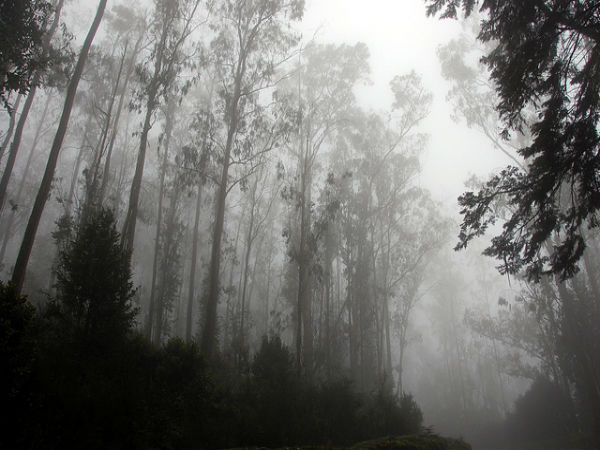 ದೊಡ್ಡಬೆಟ್ಟ: