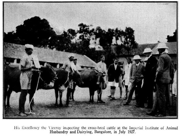 ಹಳೆಯ ನಮ್ಮ ಬೆಂಗಳೂರು: