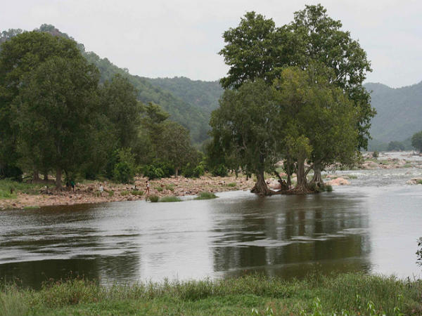 ಬೆಂಗಳೂರಿನಿಂದ ಮೇಕೆದಾಟು: