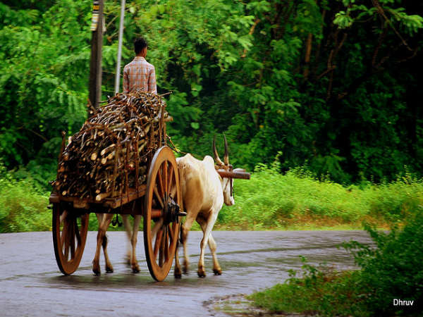 ಪಾಲಕ್ಕಾಡ್ ಪ್ರವಾಸ: