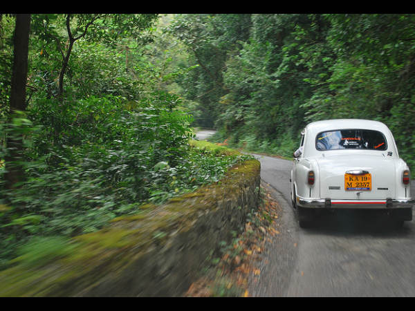 ಭಾರತದ ಮಳೆಕಾಡುಗಳು: