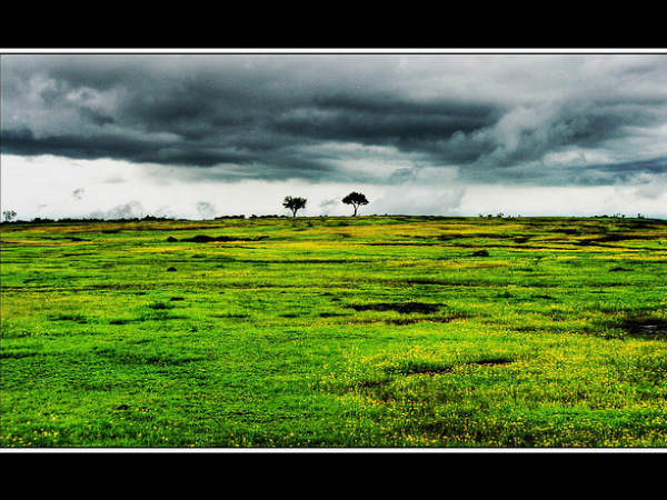 ಸೆಳೆಯುವಂತೆ ಮಾಡುವ ಮಳೆಯ ಕಳೆ: