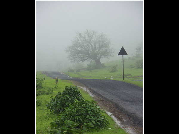 ಸೆಳೆಯುವಂತೆ ಮಾಡುವ ಮಳೆಯ ಕಳೆ: