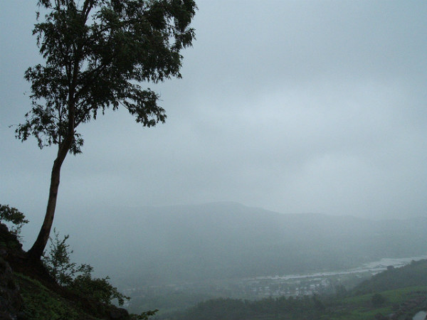 ಸೆಳೆಯುವಂತೆ ಮಾಡುವ ಮಳೆಯ ಕಳೆ: