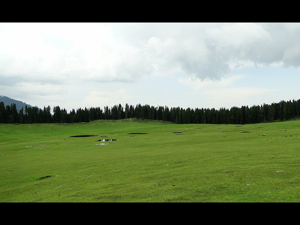 ಸೆಳೆಯುವಂತೆ ಮಾಡುವ ಮಳೆಯ ಕಳೆ: