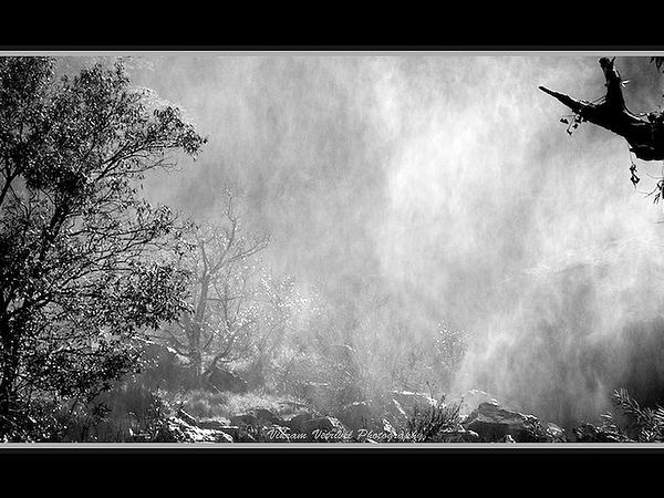 ಸೆಳೆಯುವಂತೆ ಮಾಡುವ ಮಳೆಯ ಕಳೆ: