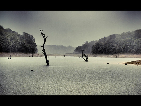 ಸೆಳೆಯುವಂತೆ ಮಾಡುವ ಮಳೆಯ ಕಳೆ: