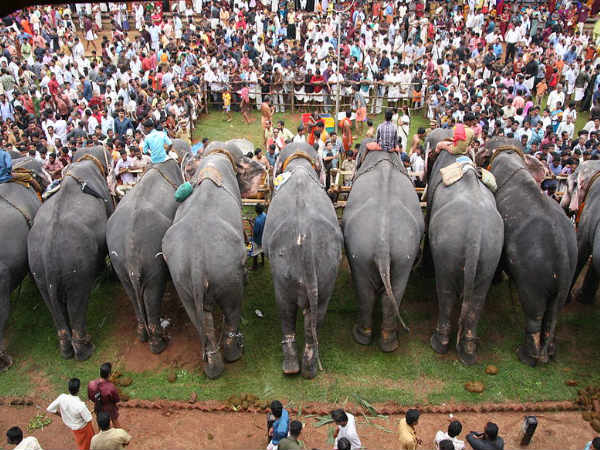 ಪರಿಪೂರ್ಣ ಆಕರ್ಷಣೆಗಳ ತ್ರಿಶ್ಶೂರ್: