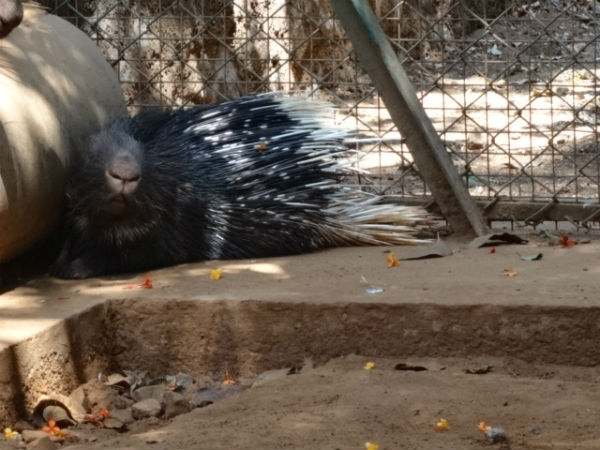 ಪರಿಪೂರ್ಣ ಆಕರ್ಷಣೆಗಳ ತ್ರಿಶ್ಶೂರ್: