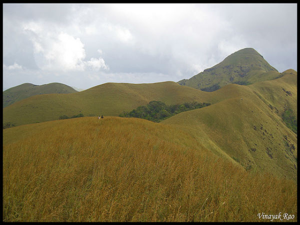 ಜೇನುಕಲ್ಲು ಬೆಟ್ಟ