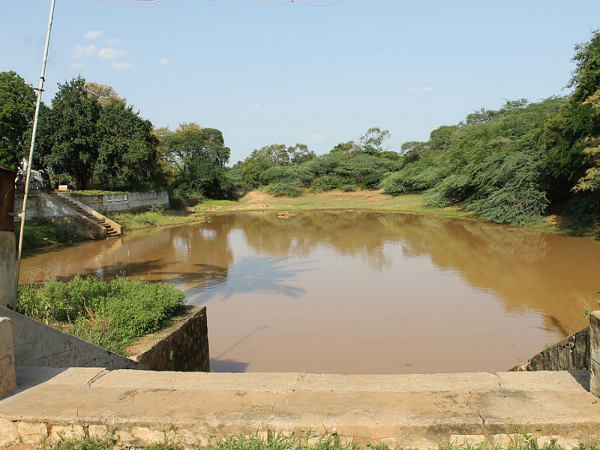 ದ.ಭಾರತದ ಕಲ್ಯಾಣಿಗಳು: