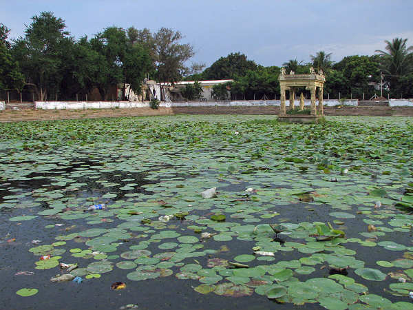 ದ.ಭಾರತದ ಕಲ್ಯಾಣಿಗಳು: