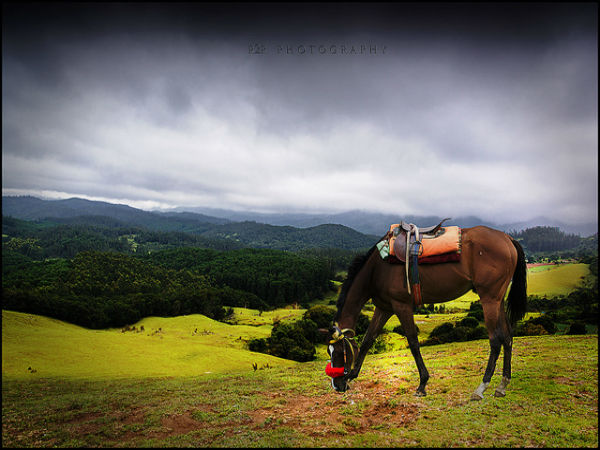 ಪ್ರಣಯದಾನಂದವನ್ನು ವೃದ್ಧಿಸುವ ಸ್ಥಳಗಳು: