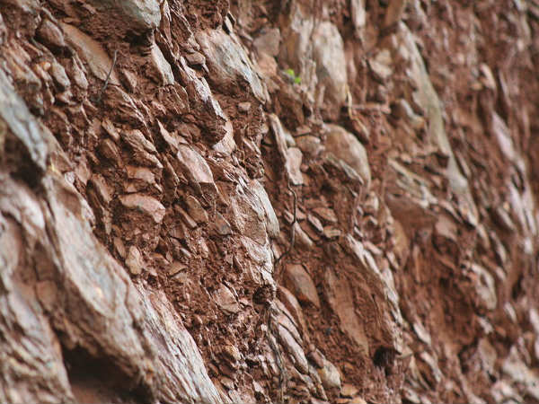 ಯಾಣದಿಂದ ಗೋಕರ್ಣದೆಡೆಗೆ: