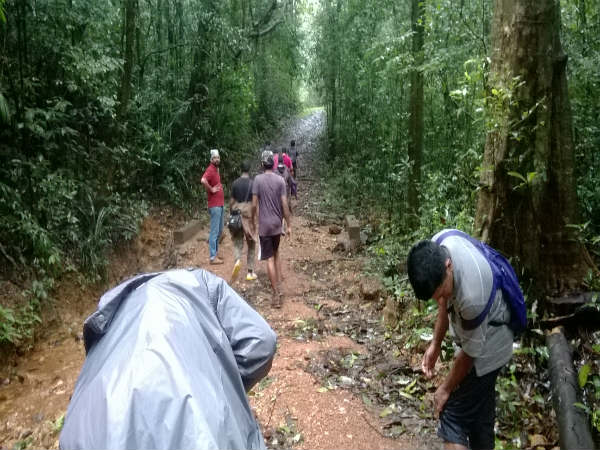 ಮಲೆನಾಡಿನಲ್ಲೊಂದು ಪ್ರವಾಸ